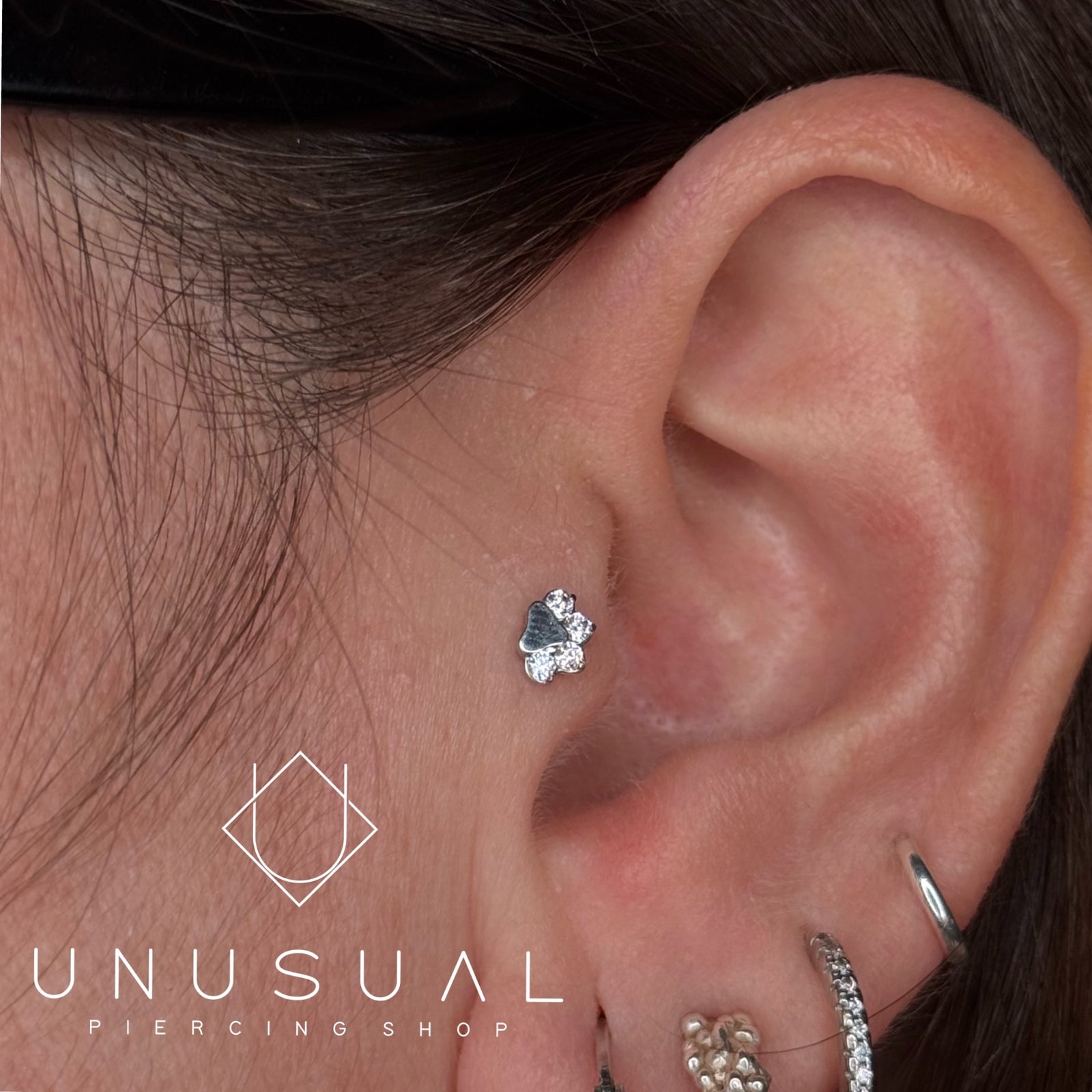 Mini Paw Piercing - UnusualPiercingShop.com