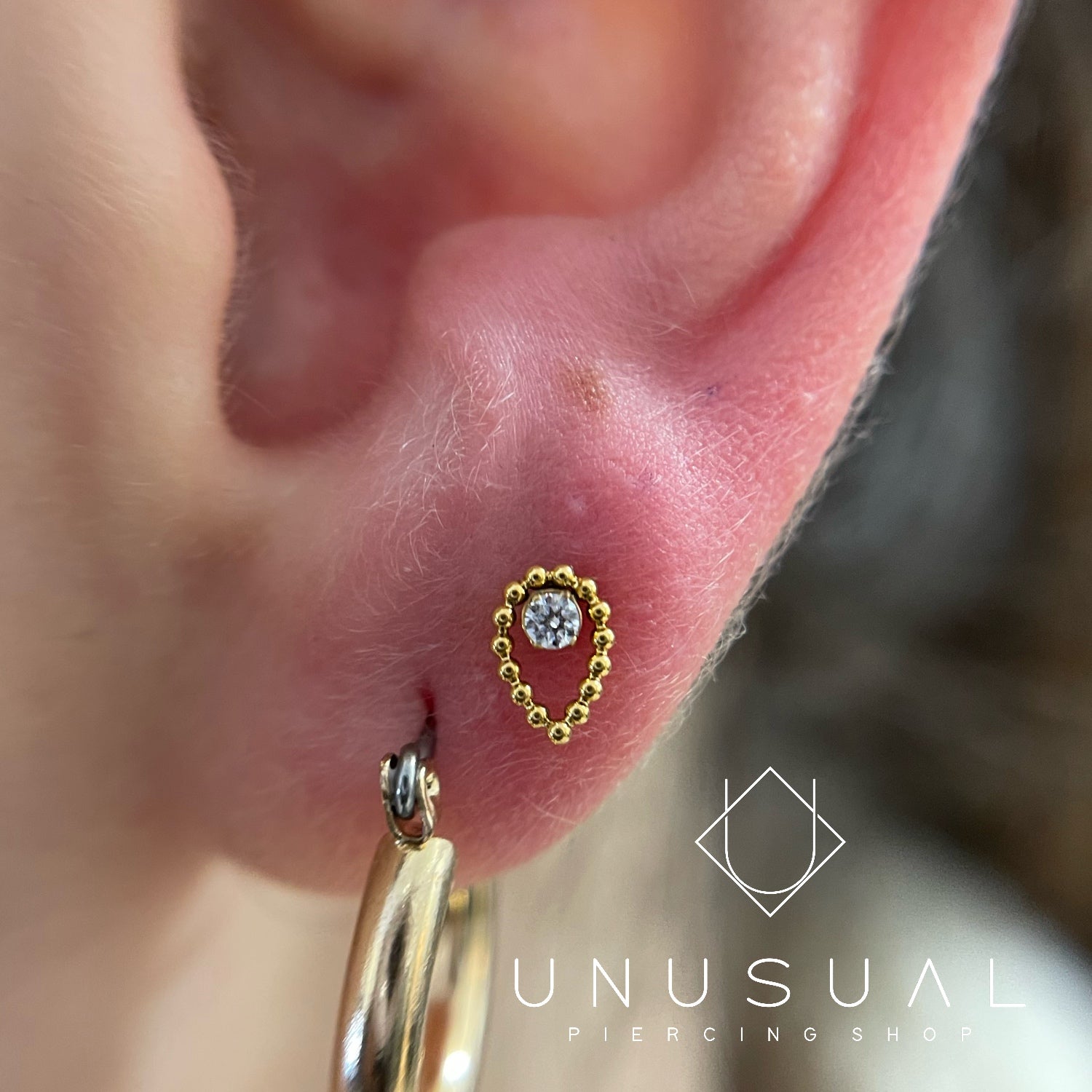 Margot Piercing - UnusualPiercingShop.com