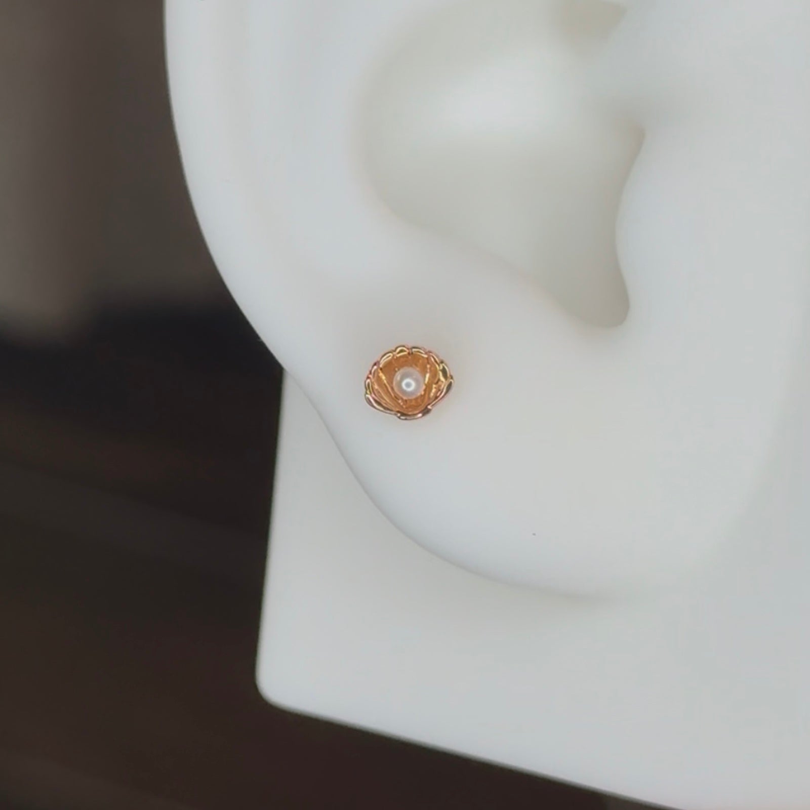 Shellby | Piercing Oro 14kt - UnusualPiercingShop.com