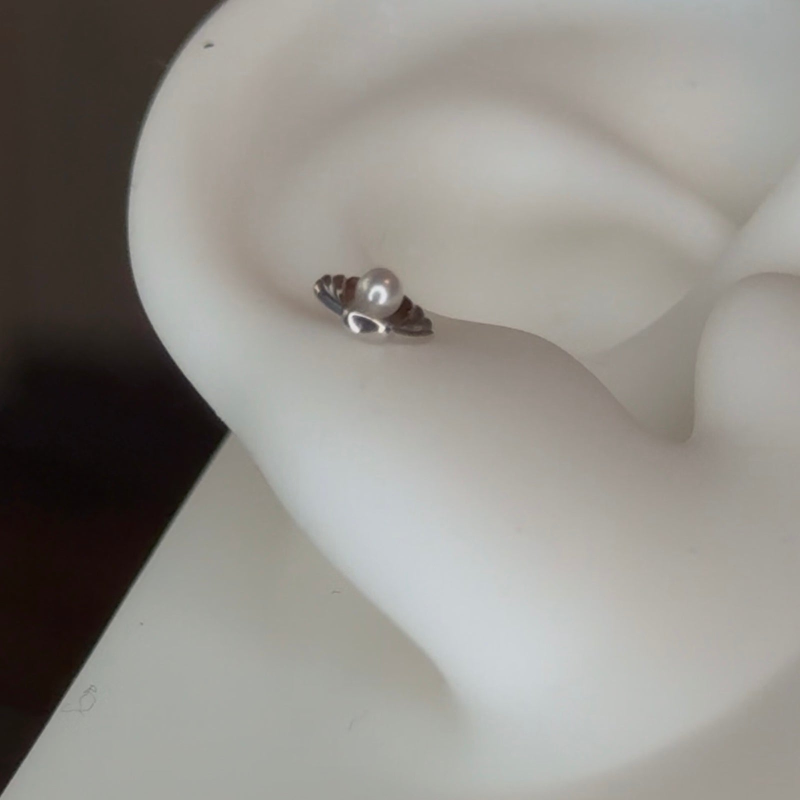 Shellby | Piercing Oro 14kt - UnusualPiercingShop.com