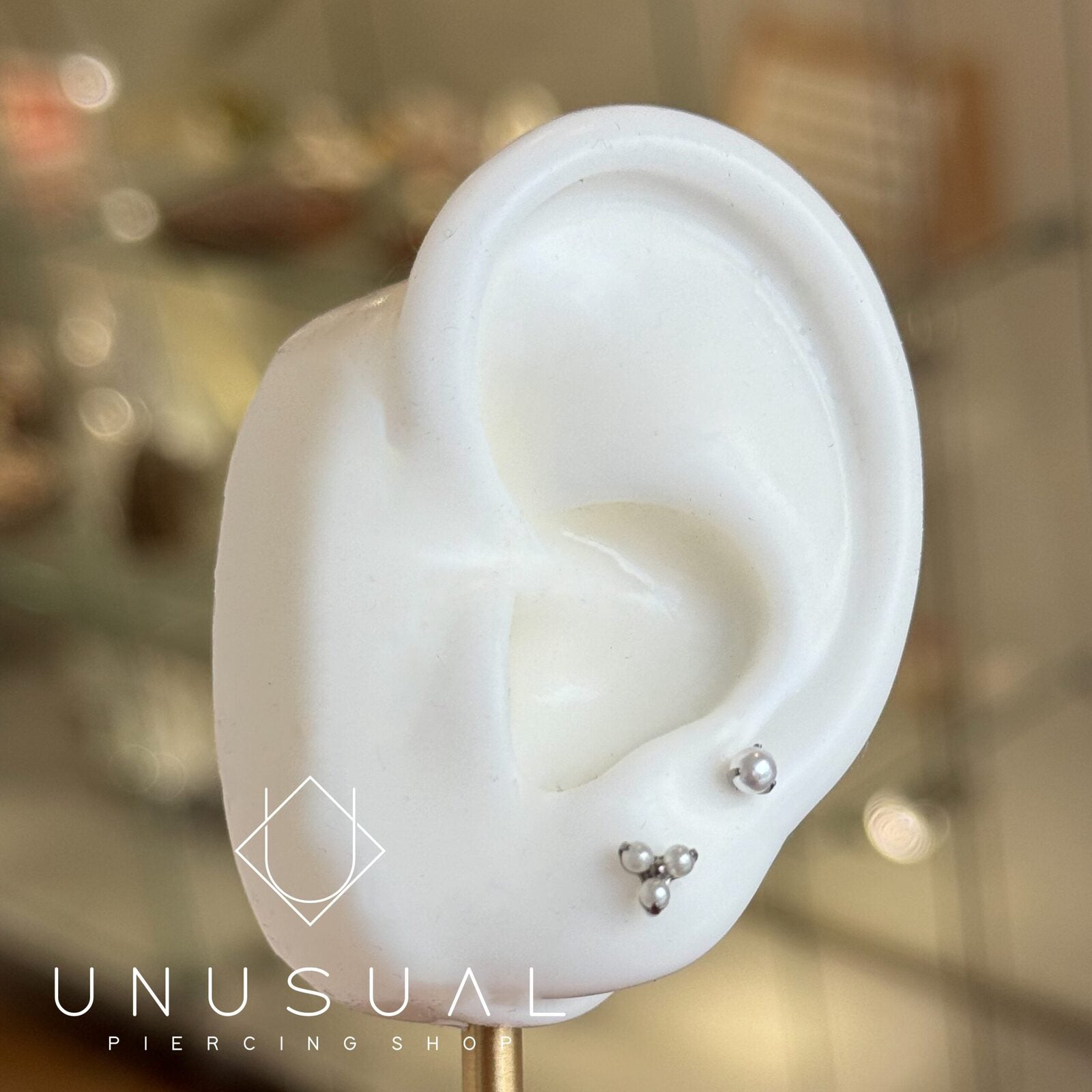 8D58CE14-DA23-4C01-96B6-85704DE350F8