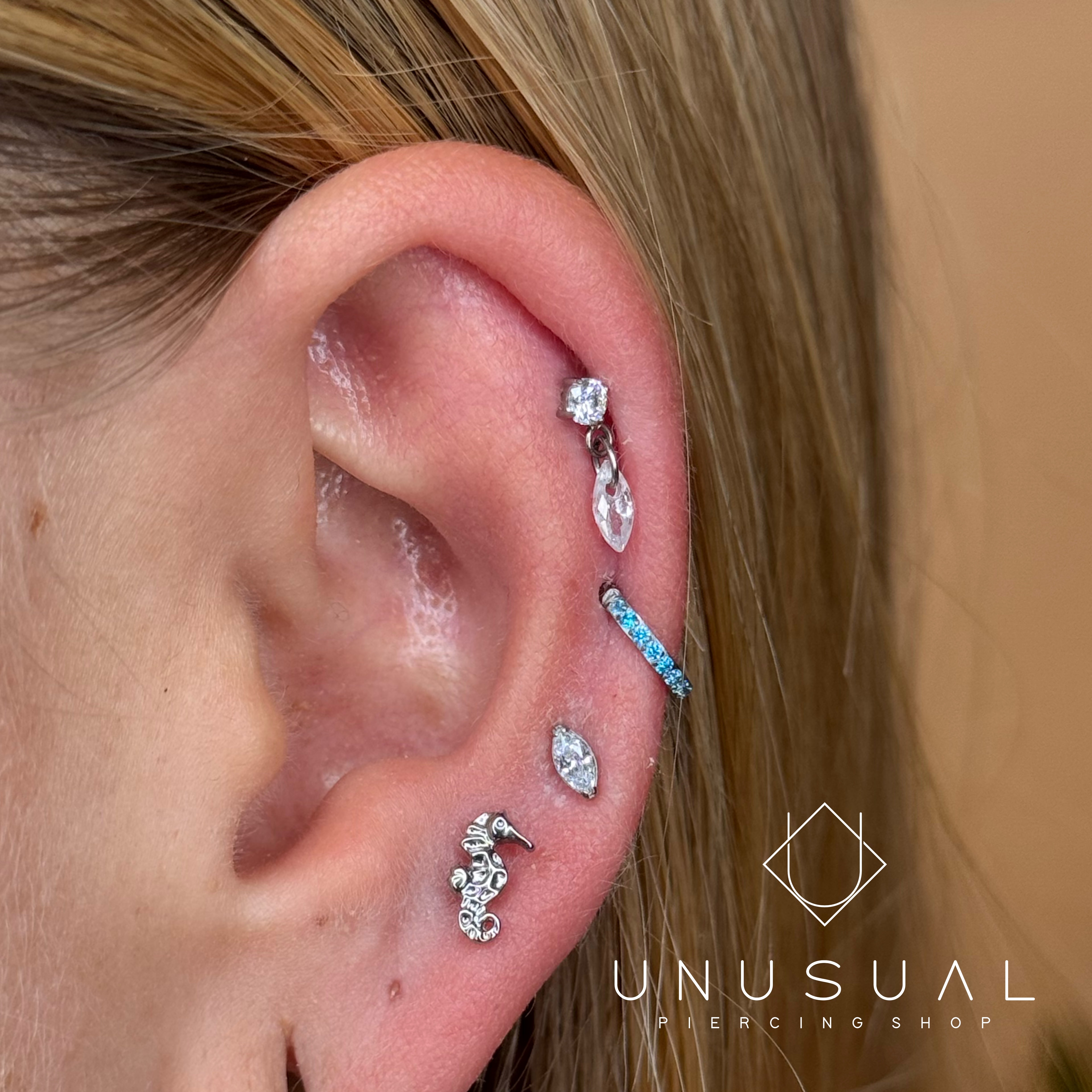 Seahorse | Piercing Titanio