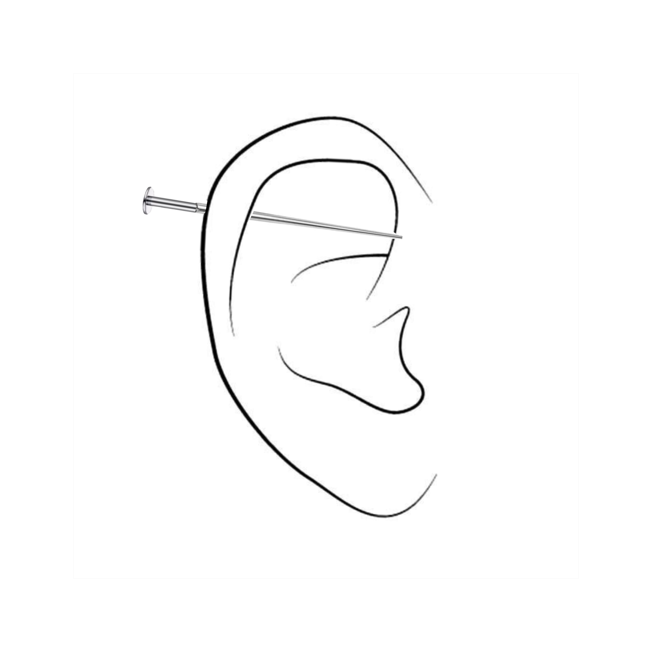 Unusual Piercing Shop